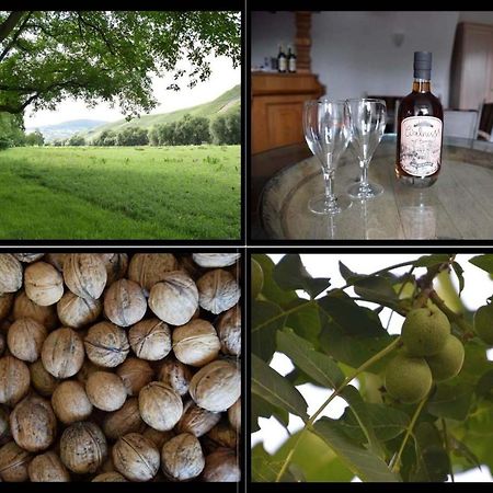The Wine Cellar In The Old Gemeinde House ブラウンエーベルク エクステリア 写真