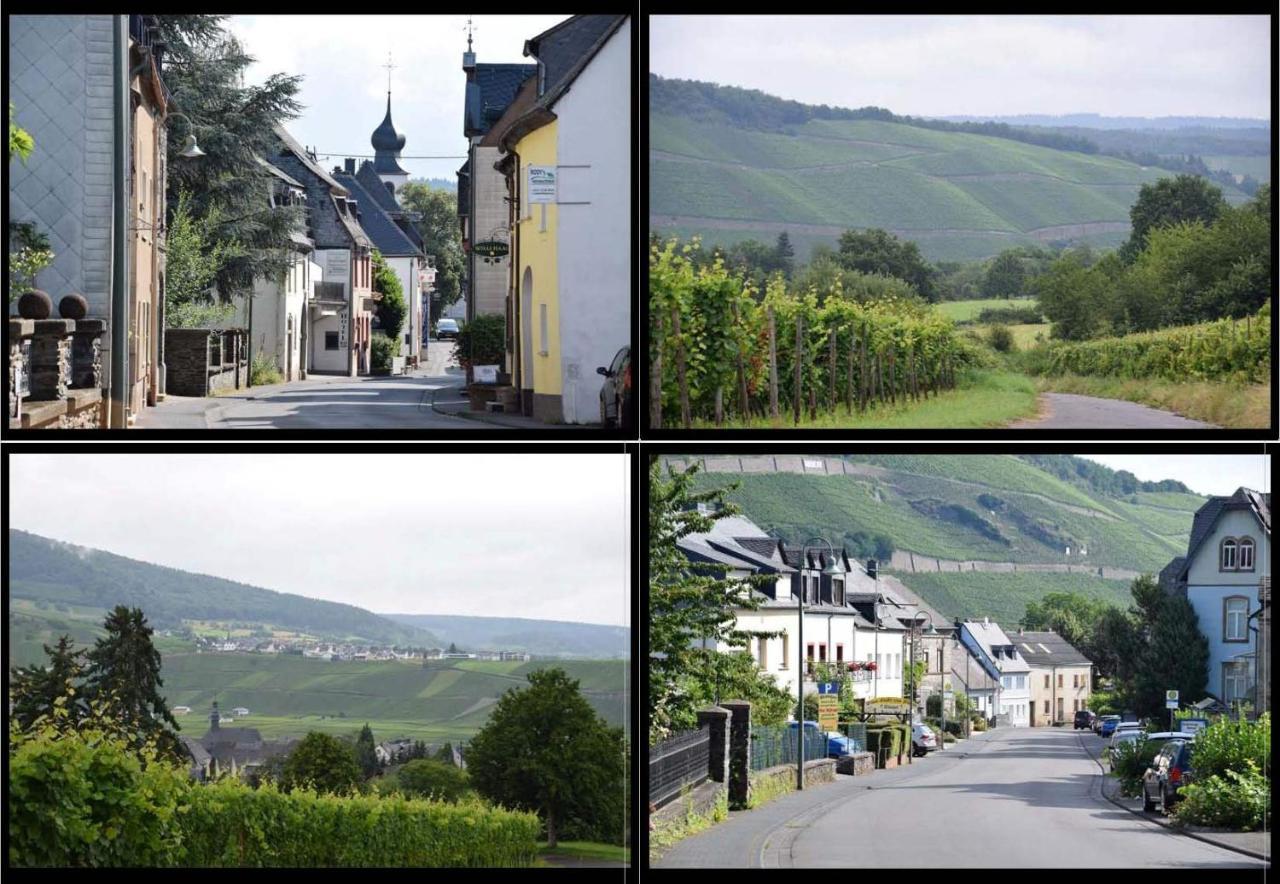 The Wine Cellar In The Old Gemeinde House ブラウンエーベルク エクステリア 写真